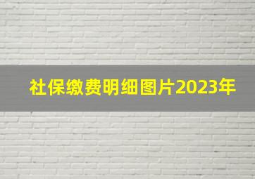 社保缴费明细图片2023年