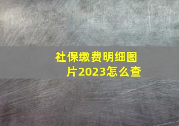 社保缴费明细图片2023怎么查