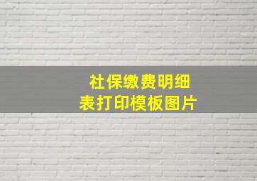 社保缴费明细表打印模板图片