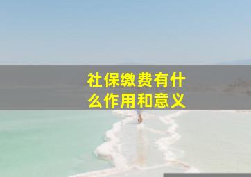 社保缴费有什么作用和意义