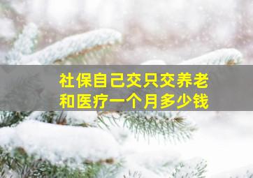 社保自己交只交养老和医疗一个月多少钱