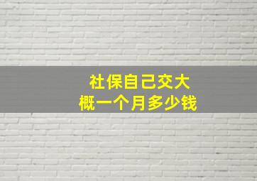 社保自己交大概一个月多少钱