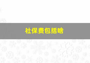 社保费包括啥