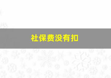 社保费没有扣