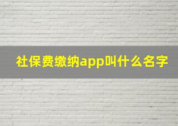 社保费缴纳app叫什么名字