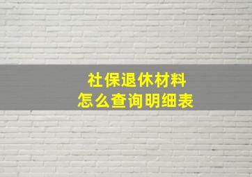 社保退休材料怎么查询明细表