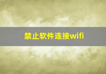 禁止软件连接wifi