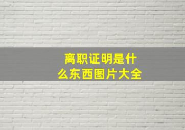 离职证明是什么东西图片大全