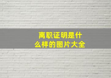 离职证明是什么样的图片大全