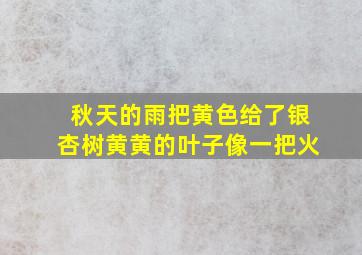 秋天的雨把黄色给了银杏树黄黄的叶子像一把火