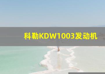 科勒KDW1003发动机