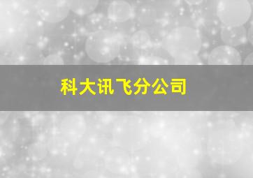 科大讯飞分公司