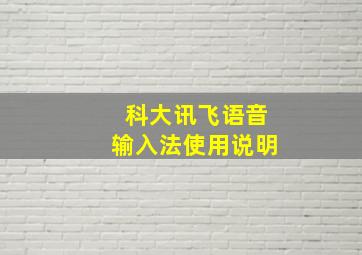 科大讯飞语音输入法使用说明