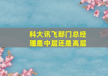 科大讯飞部门总经理是中层还是高层