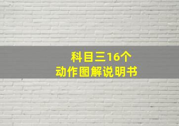 科目三16个动作图解说明书