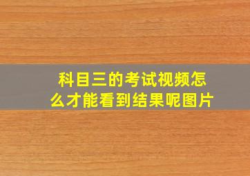 科目三的考试视频怎么才能看到结果呢图片