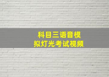 科目三语音模拟灯光考试视频