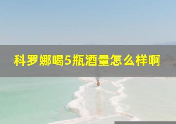 科罗娜喝5瓶酒量怎么样啊