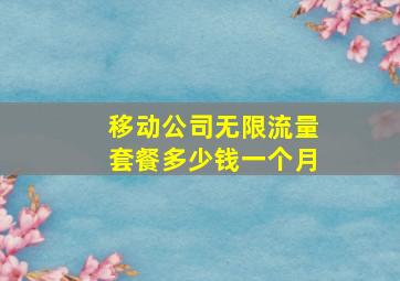 移动公司无限流量套餐多少钱一个月