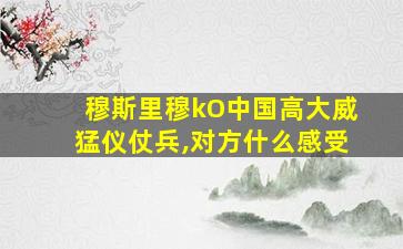 穆斯里穆kO中国高大威猛仪仗兵,对方什么感受