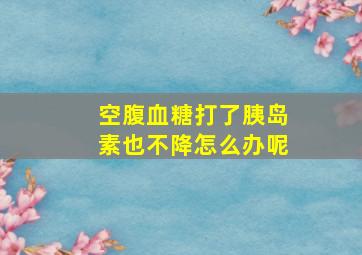 空腹血糖打了胰岛素也不降怎么办呢