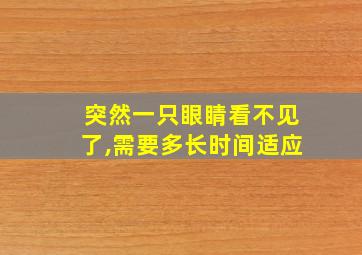 突然一只眼睛看不见了,需要多长时间适应