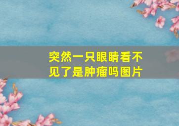 突然一只眼睛看不见了是肿瘤吗图片