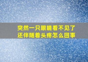 突然一只眼睛看不见了还伴随着头疼怎么回事