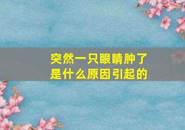 突然一只眼睛肿了是什么原因引起的