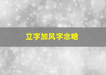 立字加风字念啥