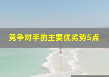 竞争对手的主要优劣势5点