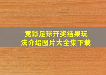 竞彩足球开奖结果玩法介绍图片大全集下载