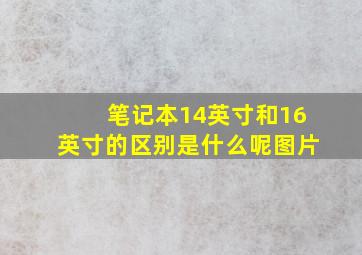 笔记本14英寸和16英寸的区别是什么呢图片