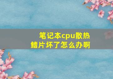 笔记本cpu散热鳍片坏了怎么办啊