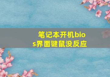 笔记本开机bios界面键鼠没反应