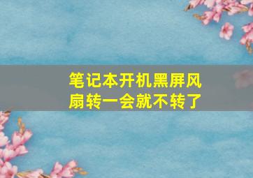 笔记本开机黑屏风扇转一会就不转了