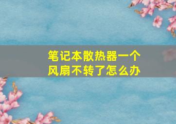 笔记本散热器一个风扇不转了怎么办