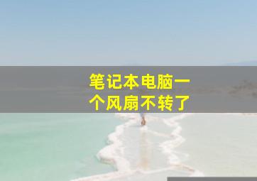 笔记本电脑一个风扇不转了