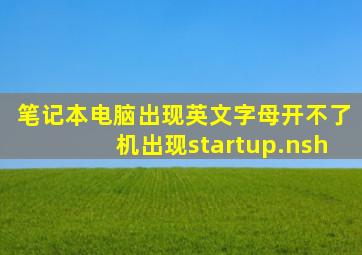 笔记本电脑出现英文字母开不了机出现startup.nsh