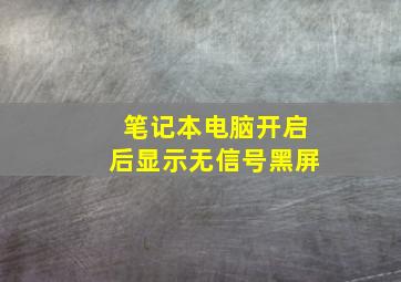 笔记本电脑开启后显示无信号黑屏