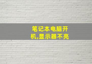 笔记本电脑开机,显示器不亮