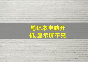 笔记本电脑开机,显示屏不亮