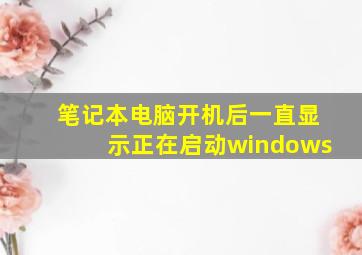 笔记本电脑开机后一直显示正在启动windows