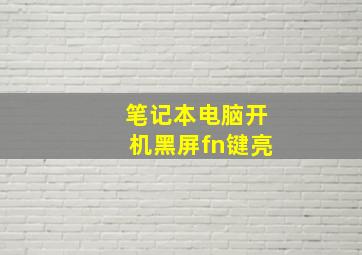 笔记本电脑开机黑屏fn键亮