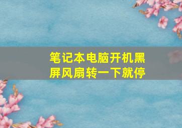 笔记本电脑开机黑屏风扇转一下就停