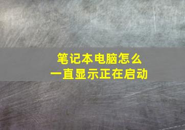 笔记本电脑怎么一直显示正在启动