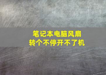 笔记本电脑风扇转个不停开不了机