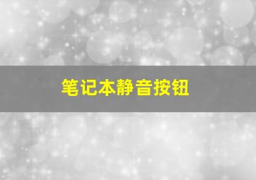 笔记本静音按钮