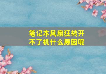 笔记本风扇狂转开不了机什么原因呢