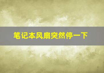 笔记本风扇突然停一下